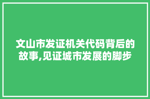 文山市发证机关代码背后的故事,见证城市发展的脚步