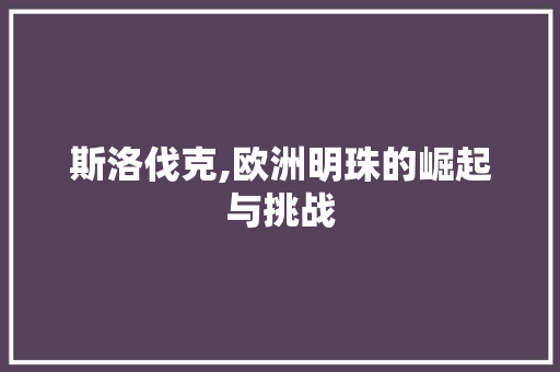 斯洛伐克,欧洲明珠的崛起与挑战