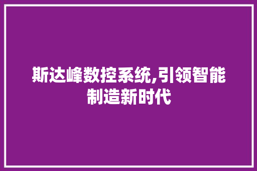 斯达峰数控系统,引领智能制造新时代