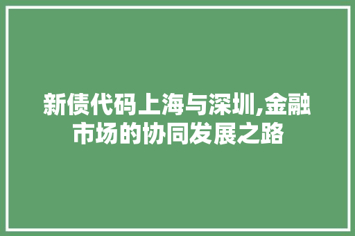 新债代码上海与深圳,金融市场的协同发展之路