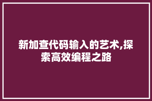 新加查代码输入的艺术,探索高效编程之路