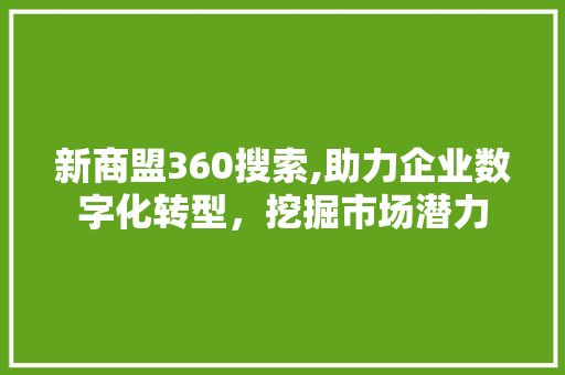 新商盟360搜索,助力企业数字化转型，挖掘市场潜力