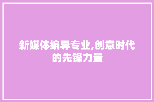 新媒体编导专业,创意时代的先锋力量