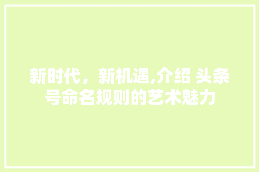 新时代，新机遇,介绍 头条号命名规则的艺术魅力