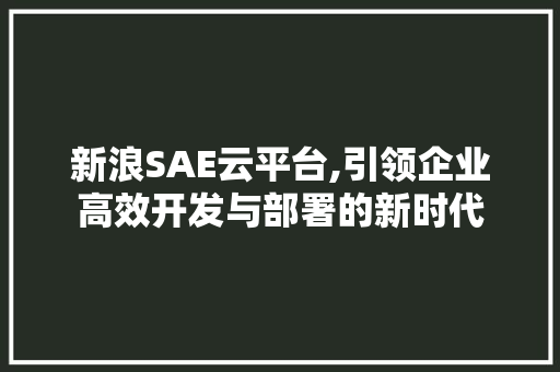 新浪SAE云平台,引领企业高效开发与部署的新时代