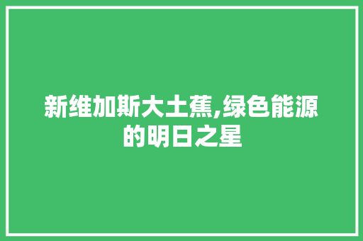 新维加斯大土蕉,绿色能源的明日之星