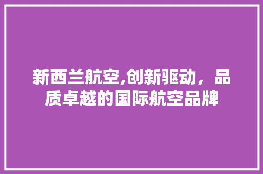 新西兰航空,创新驱动，品质卓越的国际航空品牌