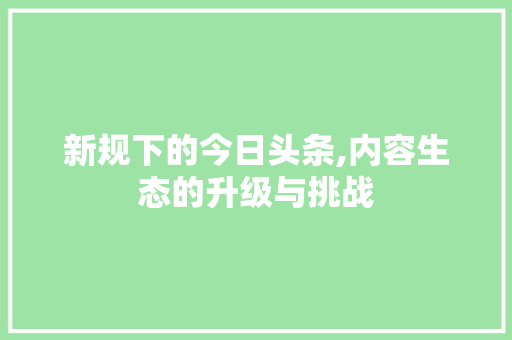 新规下的今日头条,内容生态的升级与挑战