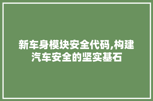 新车身模块安全代码,构建汽车安全的坚实基石