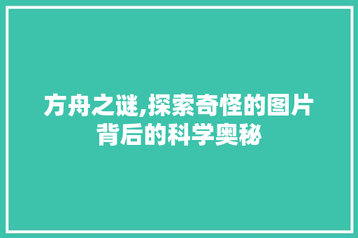 方舟之谜,探索奇怪的图片背后的科学奥秘