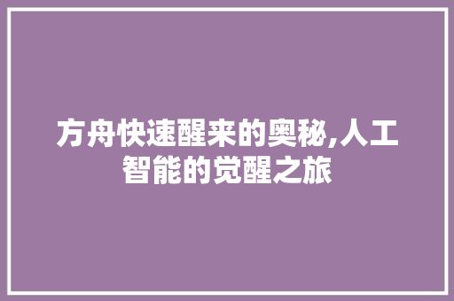 方舟快速醒来的奥秘,人工智能的觉醒之旅