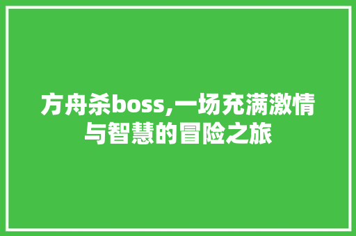 方舟杀boss,一场充满激情与智慧的冒险之旅