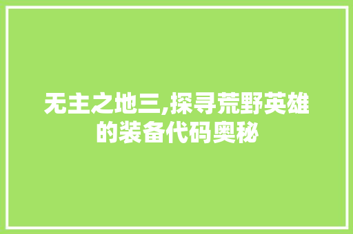 无主之地三,探寻荒野英雄的装备代码奥秘