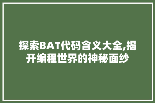 探索BAT代码含义大全,揭开编程世界的神秘面纱 Node.js