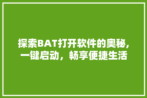 探索BAT打开软件的奥秘,一键启动，畅享便捷生活