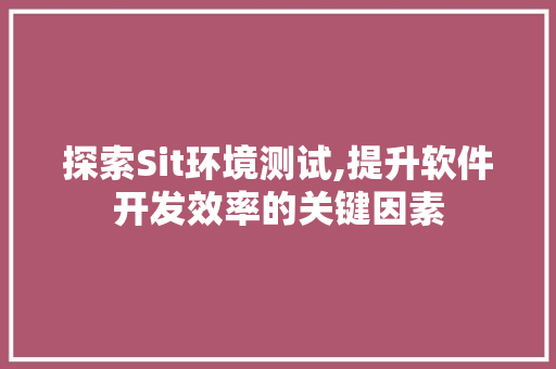 探索Sit环境测试,提升软件开发效率的关键因素