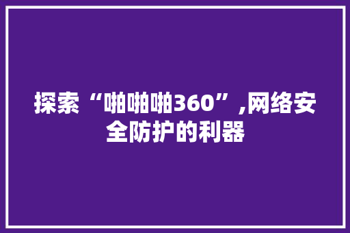 探索“啪啪啪360”,网络安全防护的利器