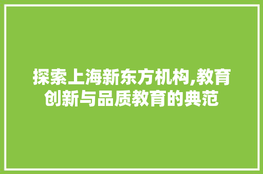 探索上海新东方机构,教育创新与品质教育的典范