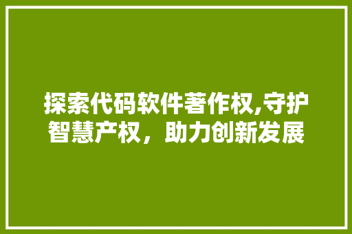 探索代码软件著作权,守护智慧产权，助力创新发展