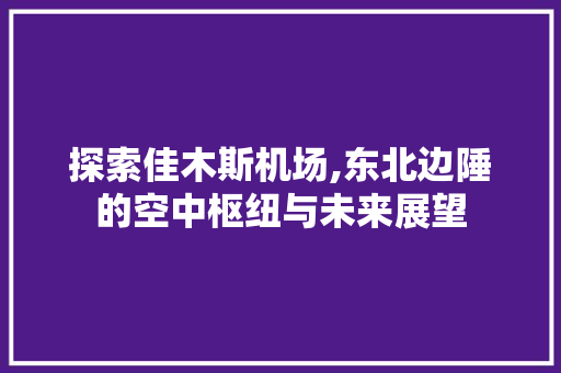 探索佳木斯机场,东北边陲的空中枢纽与未来展望