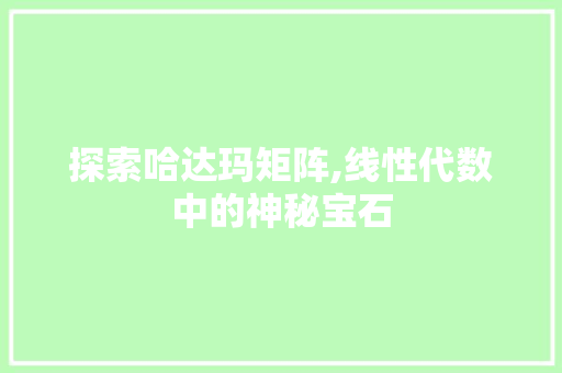 探索哈达玛矩阵,线性代数中的神秘宝石