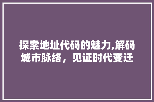 探索地址代码的魅力,解码城市脉络，见证时代变迁