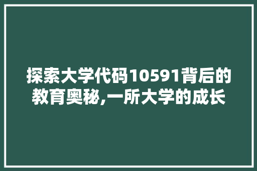 探索大学代码10591背后的教育奥秘,一所大学的成长之路