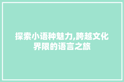 探索小语种魅力,跨越文化界限的语言之旅