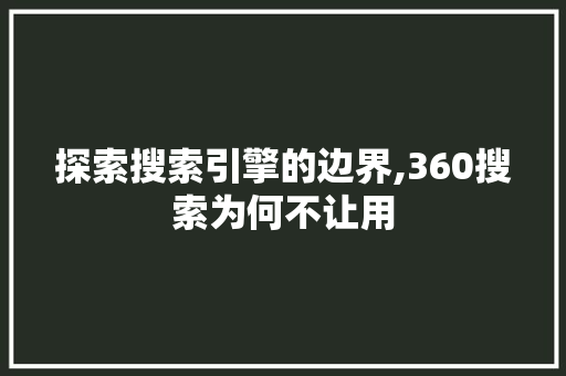 探索搜索引擎的边界,360搜索为何不让用