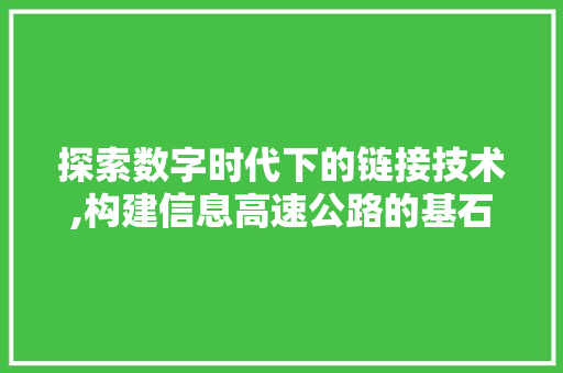 探索数字时代下的链接技术,构建信息高速公路的基石