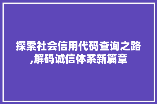 探索社会信用代码查询之路,解码诚信体系新篇章