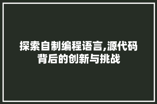 探索自制编程语言,源代码背后的创新与挑战