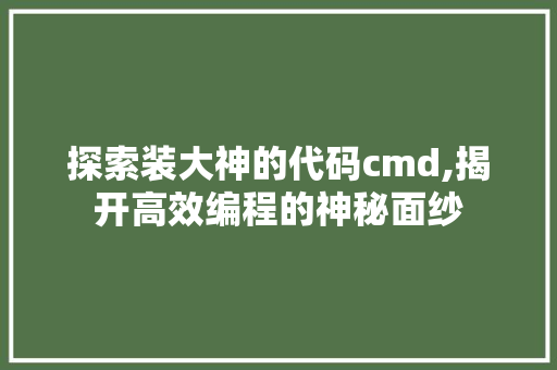 探索装大神的代码cmd,揭开高效编程的神秘面纱