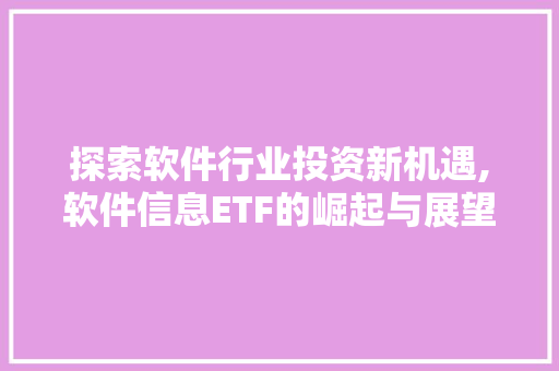 探索软件行业投资新机遇,软件信息ETF的崛起与展望