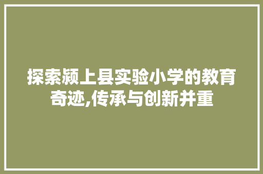 探索颍上县实验小学的教育奇迹,传承与创新并重