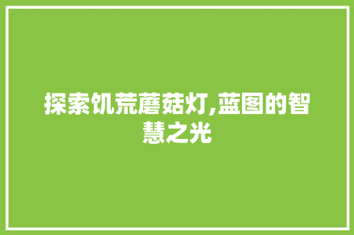 探索饥荒蘑菇灯,蓝图的智慧之光