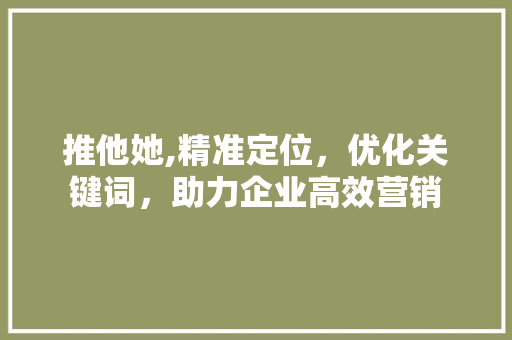 推他她,精准定位，优化关键词，助力企业高效营销