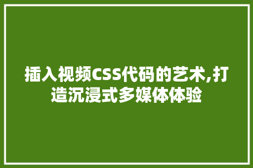 插入视频CSS代码的艺术,打造沉浸式多媒体体验