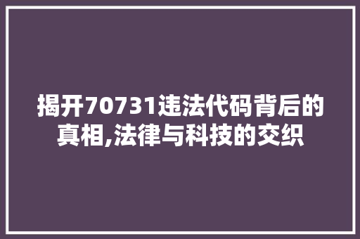 揭开70731违法代码背后的真相,法律与科技的交织