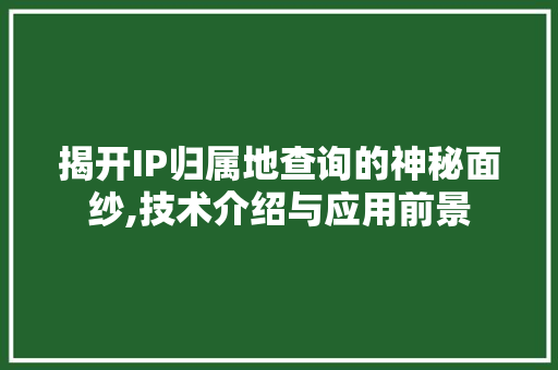 揭开IP归属地查询的神秘面纱,技术介绍与应用前景