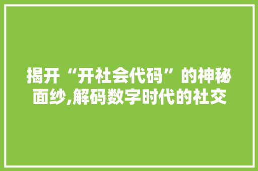 揭开“开社会代码”的神秘面纱,解码数字时代的社交密码