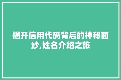 揭开信用代码背后的神秘面纱,姓名介绍之旅