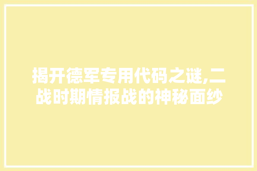 揭开德军专用代码之谜,二战时期情报战的神秘面纱