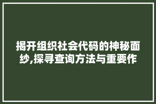 揭开组织社会代码的神秘面纱,探寻查询方法与重要作用