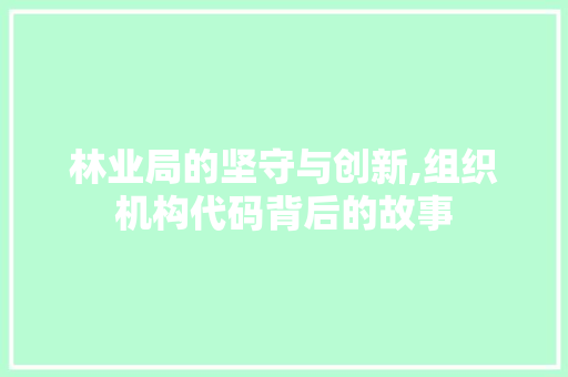 林业局的坚守与创新,组织机构代码背后的故事