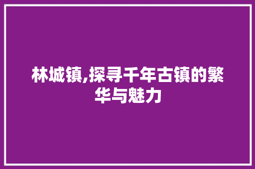 林城镇,探寻千年古镇的繁华与魅力