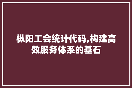 枞阳工会统计代码,构建高效服务体系的基石