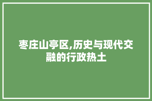 枣庄山亭区,历史与现代交融的行政热土