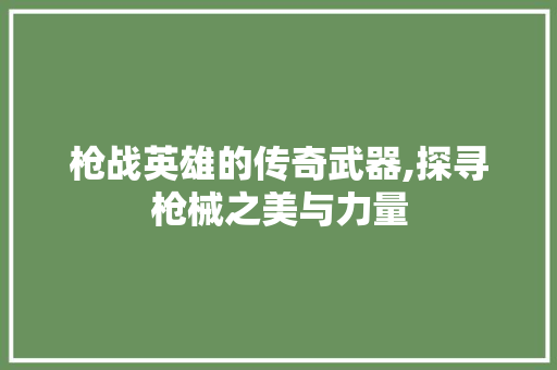 枪战英雄的传奇武器,探寻枪械之美与力量