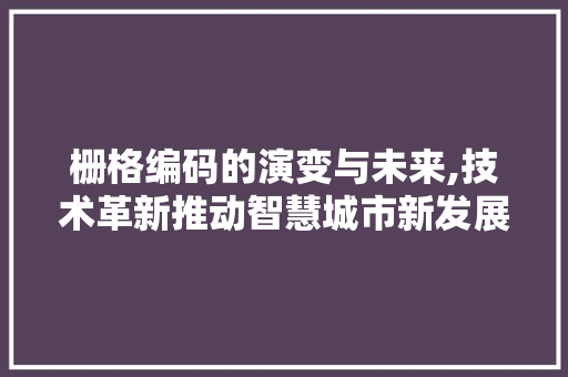 栅格编码的演变与未来,技术革新推动智慧城市新发展